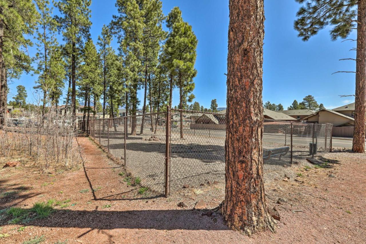 Modern Flagstaff Home, 4 Mi To Downtown! Buitenkant foto